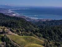 ROAD eTRIP: Take a Virtual Trip to California Wine Country with Zoom Backgrounds