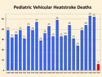 National Safety Council Statement on Preventing Pediatric Vehicular Heatstroke