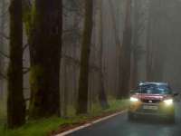 Driving In Autumn: Fallen Leaves, Rain and Fog Challenge Motorists
