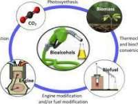 Green Chemicals Global Market Report 2023: Growing Adoption of Bio-Alcohols is Driving Sector