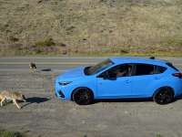 2024 Subaru Impreza RS - Review by David Colman +VIDEO